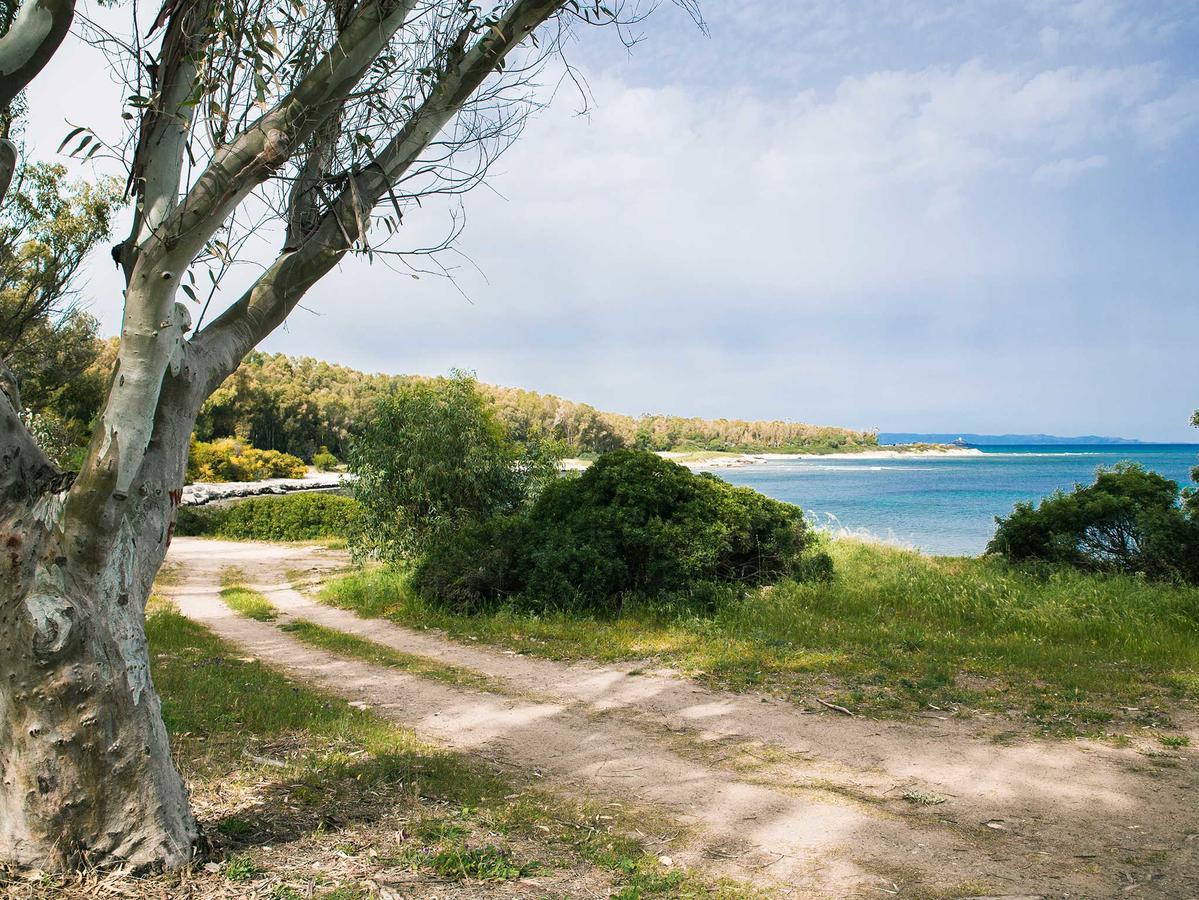 Cala D'ostia Camping
