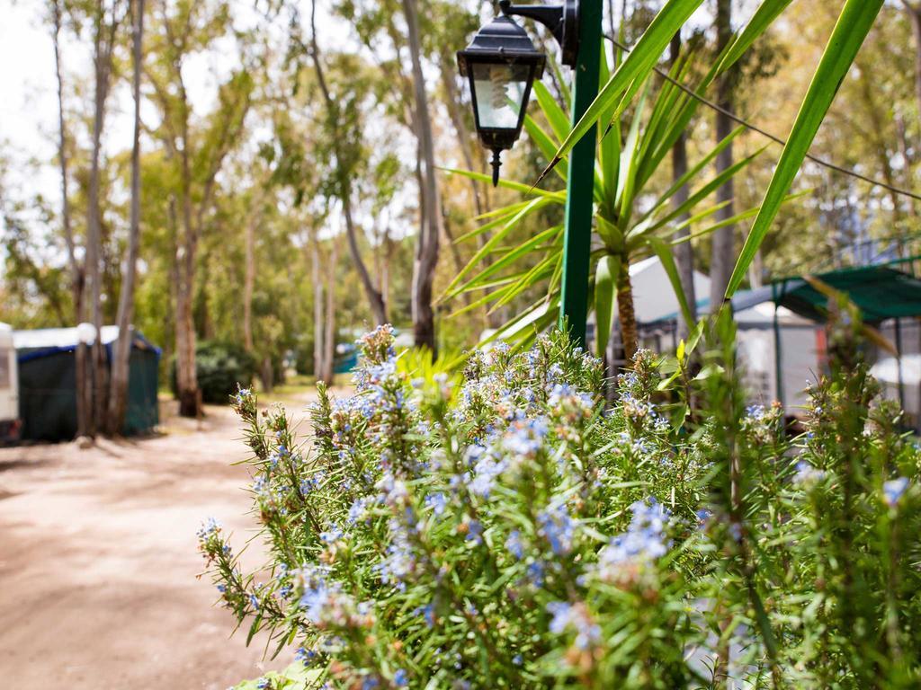 Camping Cala D'ostia *