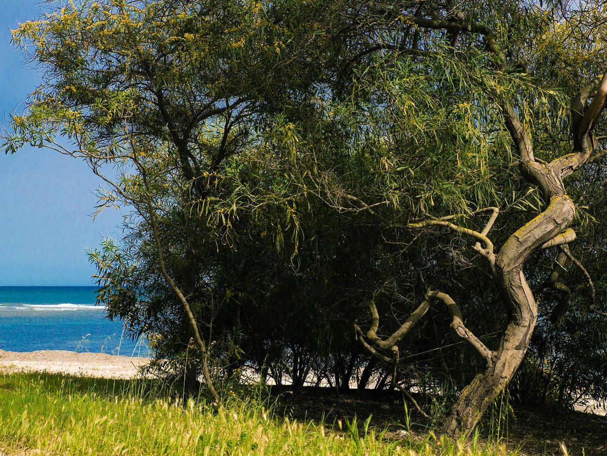 Camping Cala D'ostia Pula